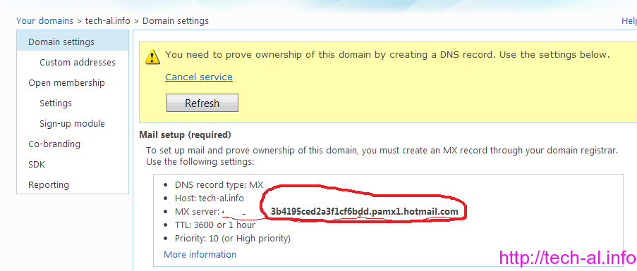 how verify my email dns